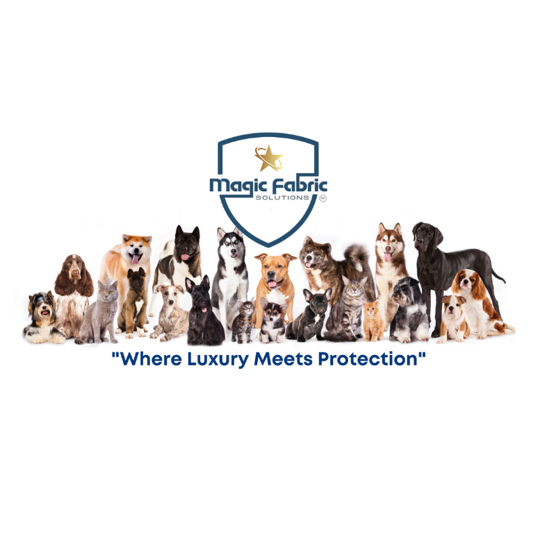 Creating a Startup Revolution: Magic Fabric Announces it's Patented!