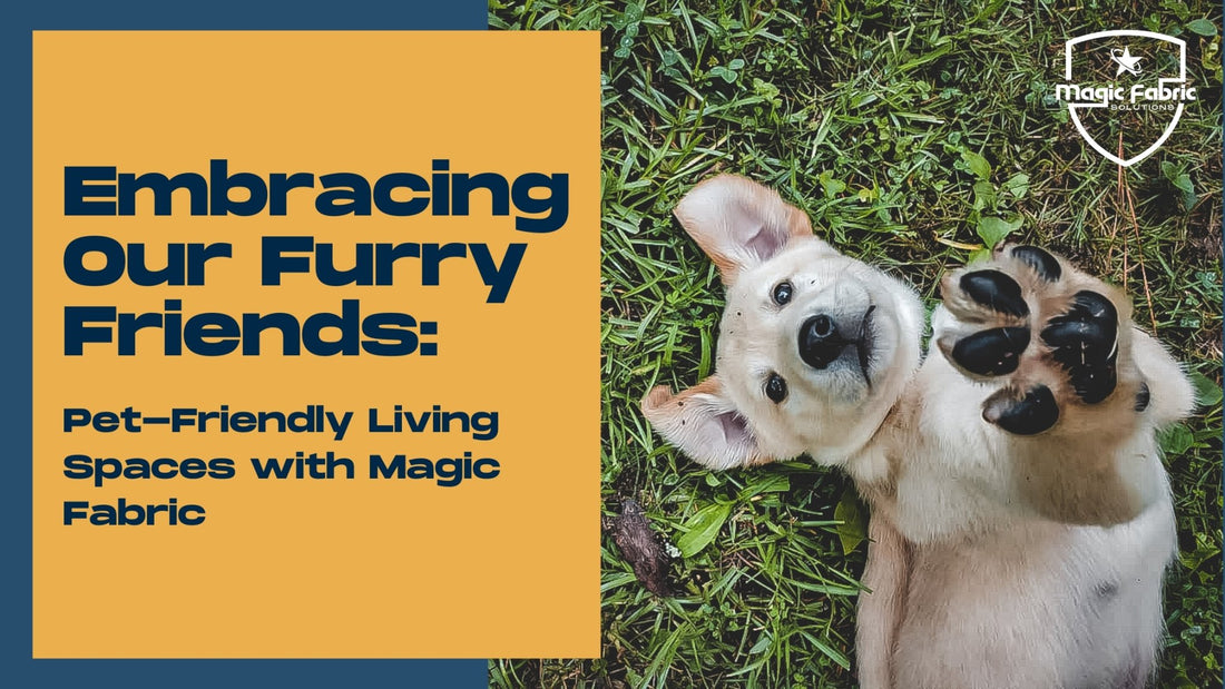 Pet-Friendly Living Spaces with Magic Fabric - Magic Fabric