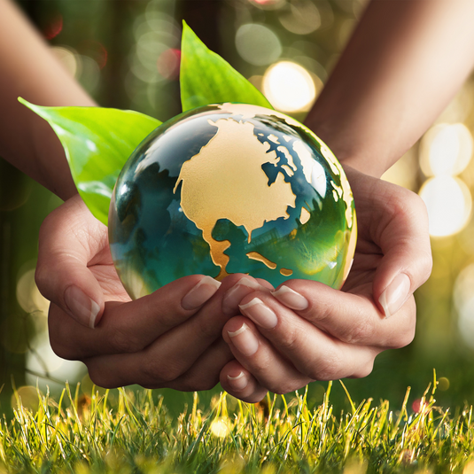 Environmentally Friendly