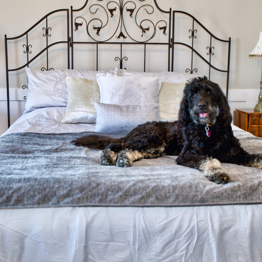 Pet Furniture Throws - Jumbo