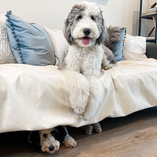 Pet Furniture Throws - Large