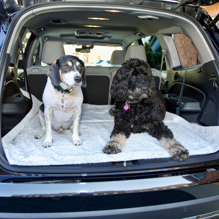 Pet Furniture Throws - Medium