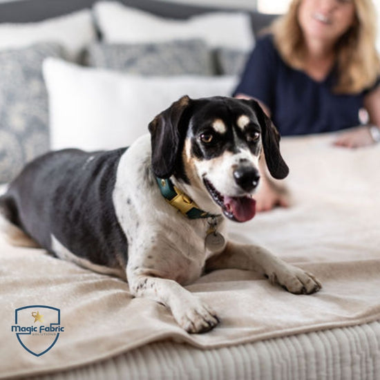Pet Furniture Throws - Magic Fabric