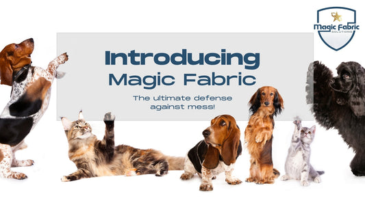 Introduction to Magic Fabric - Magic Fabric