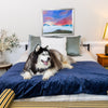 Pet Furniture Throws & Covers