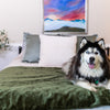 Pet Furniture Throws & Covers