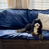 ShieldTek® Bed Pad – Powered by Patented Magic Fabric™ Technology