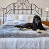 Pet Furniture Throws & Covers