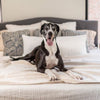 Pet Furniture Throws - Magic Fabric